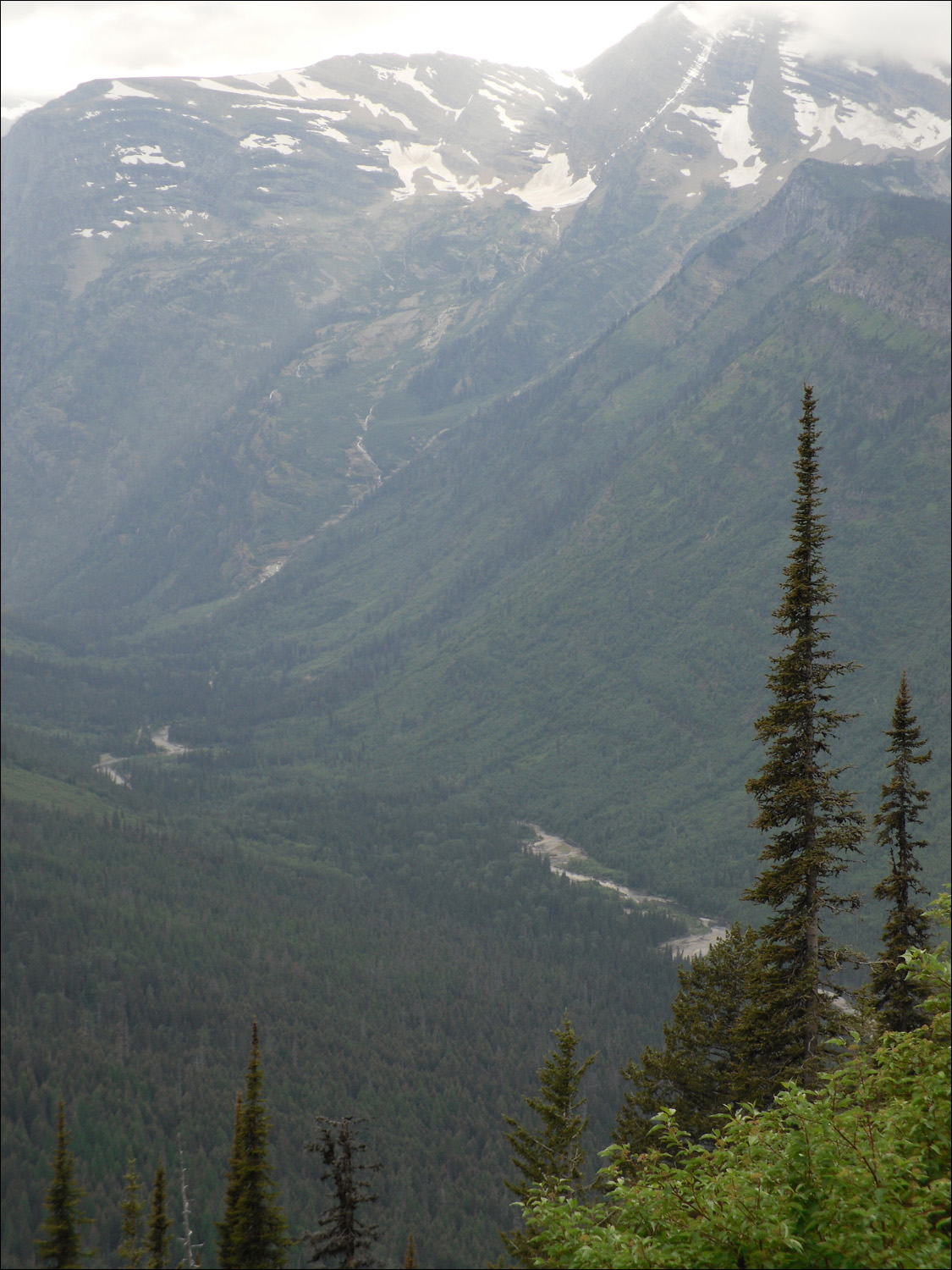 Glacier National Park-Views from west of Logans Pass on Going to the Sun Road.